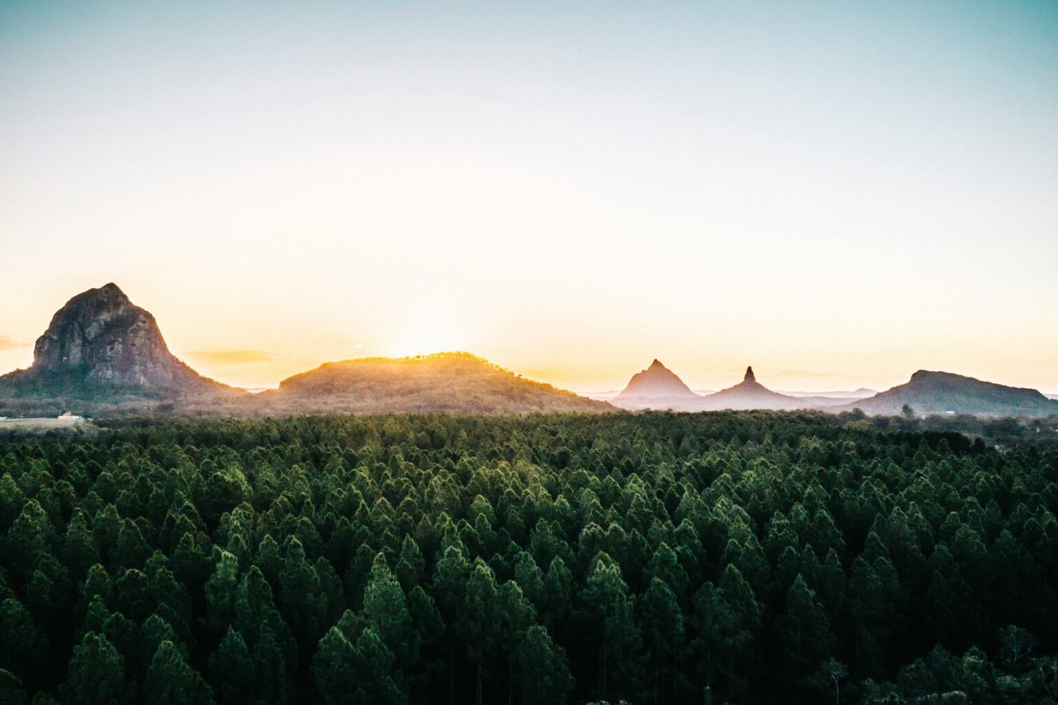Sunrise over the pine forest below the Glass House Mountains
