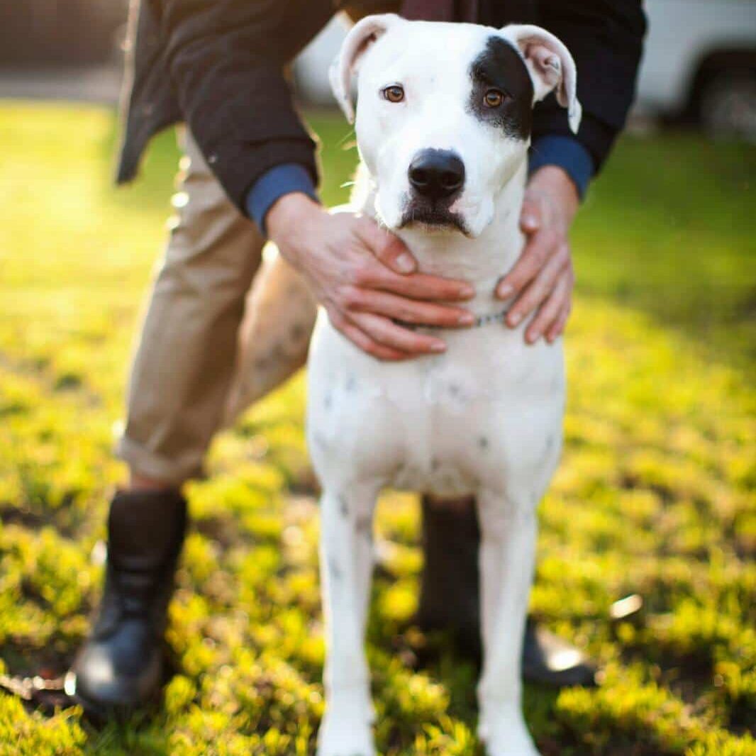 Man holding dog in park